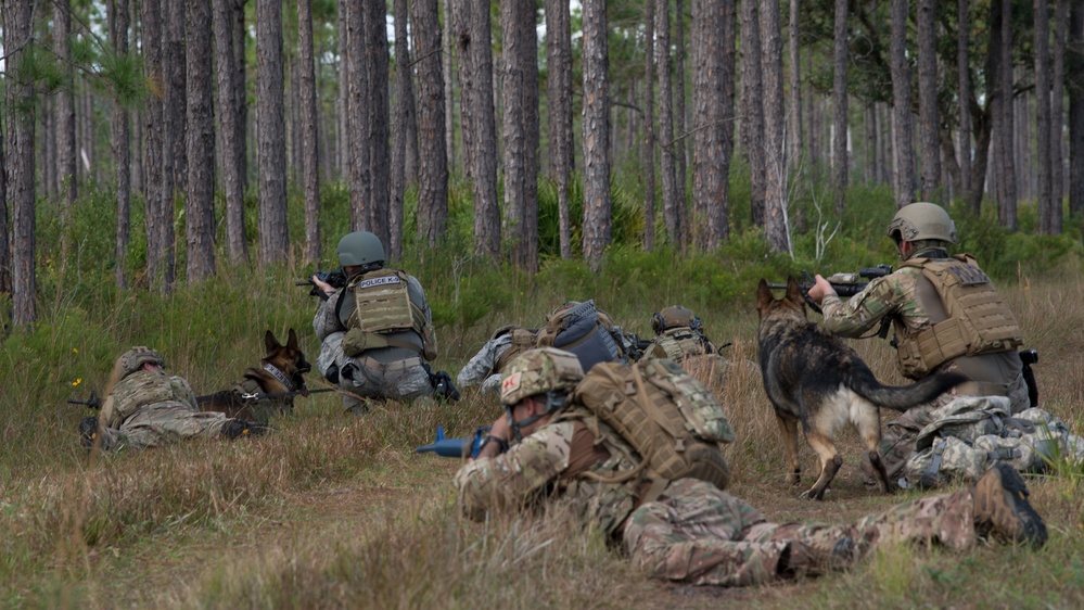 Doggone bombs: Team MacDill integrates joint force counter-IED training