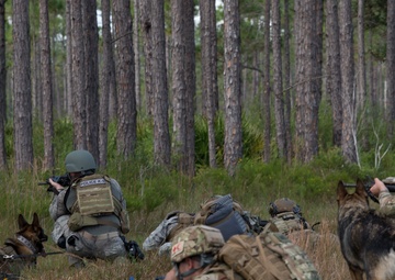 Doggone bombs: Team MacDill integrates joint force counter-IED training