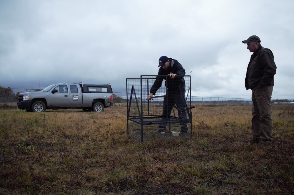 U.S. Department of Agriculture partnership aids aviation safety, wildlife stewardship for Michigan Air National Guard