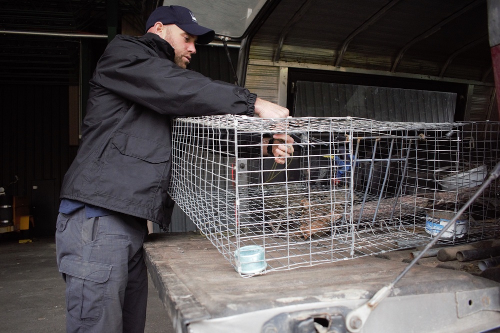 U.S. Department of Agriculture partnership aids aviation safety, wildlife stewardship for Michigan Air National Guard