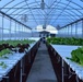 Ascension Island's hydroponics lab is revitalizing life on the volcanic island