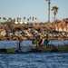 Marines take new ACV out for low-light surf transit