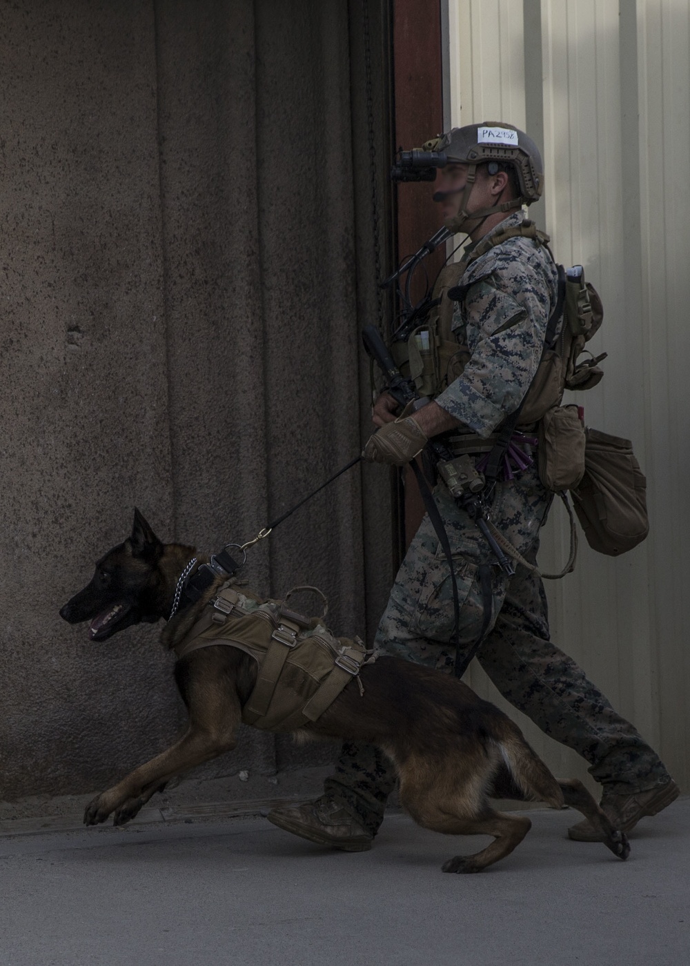 Marine Raiders learn to handle multipurpose canines