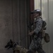 Marine Raiders learn to handle multipurpose canines