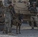 Marine Raiders learn to handle multipurpose canines