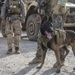 Marine Raiders learn to handle multipurpose canines