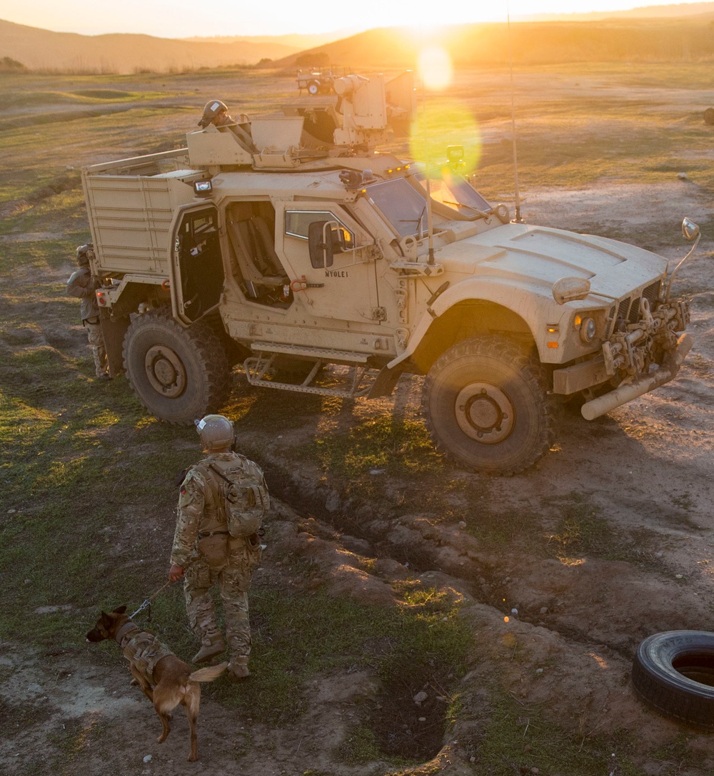 Marine Raiders learn to handle multipurpose canines