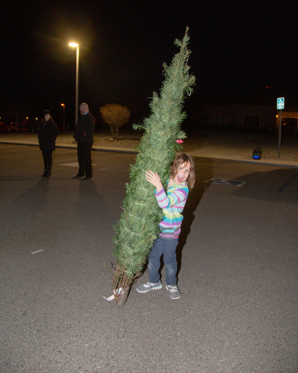 FedEx and Trees for Troops ships holiday cheer