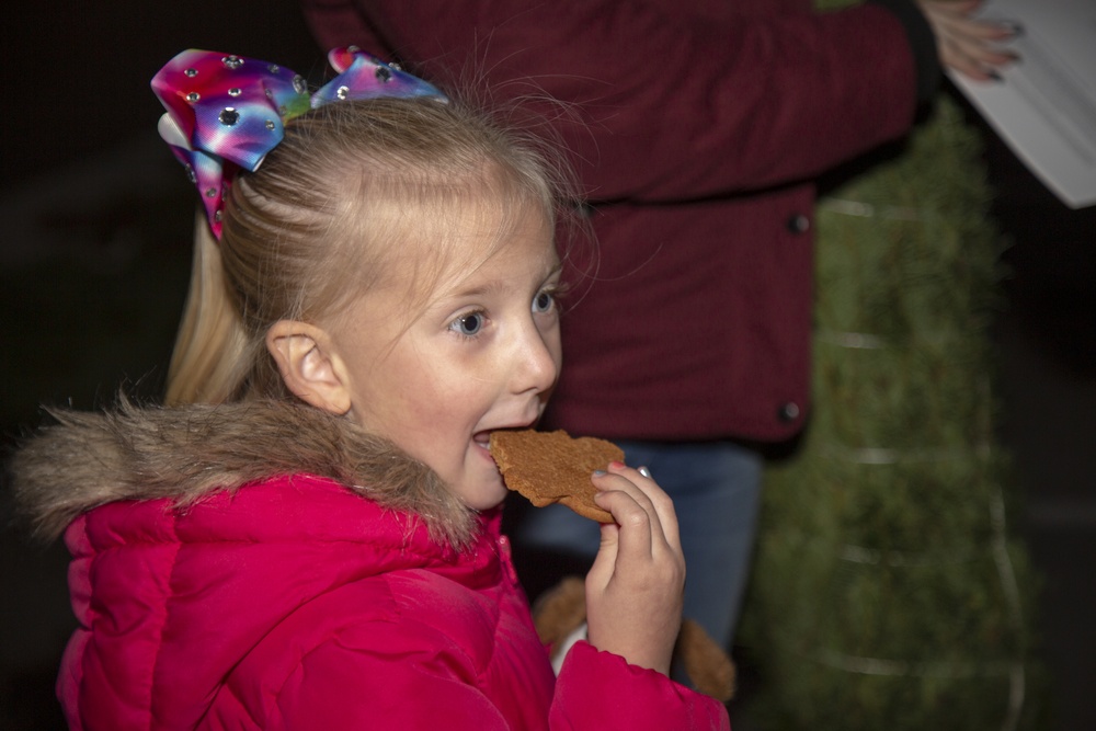FedEx and Trees for Troops ships holiday cheer