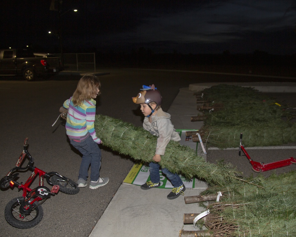FedEx and Trees for Troops ships holiday cheer