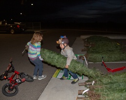 FedEx and Trees for Troops ships holiday cheer