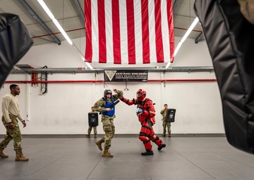 435th SFS bolsters global security