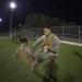 Marines Execute MCMAP Green Belt Test