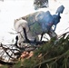 Improvised shelter building by Cold-Weather Operations Course students in Class 20-01