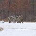 Fort McCoy Cold-Weather Operations Course students train in snowshoes pulling ahkio sled