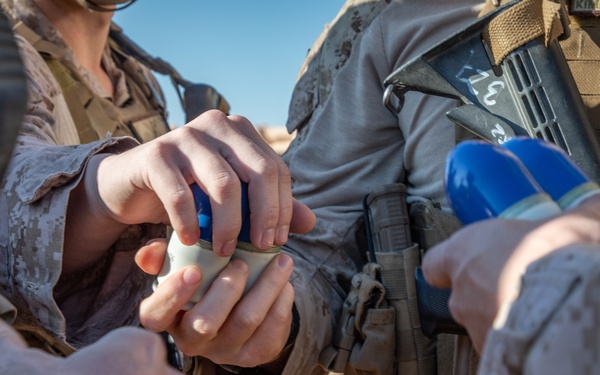 Live Fire: 2/7 Weapons company trains on T/O Equipment