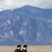 Wreaths Across America at Pikes Peak National Cemetery