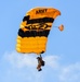Golden Knights Joint Training Exercise
