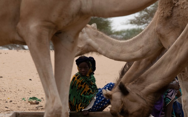Soldiers and Airmen build partnerships in the Agadez