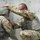 55th Maneuver Enhancement Brigade Soldiers take to the Grenade Range during Annual training