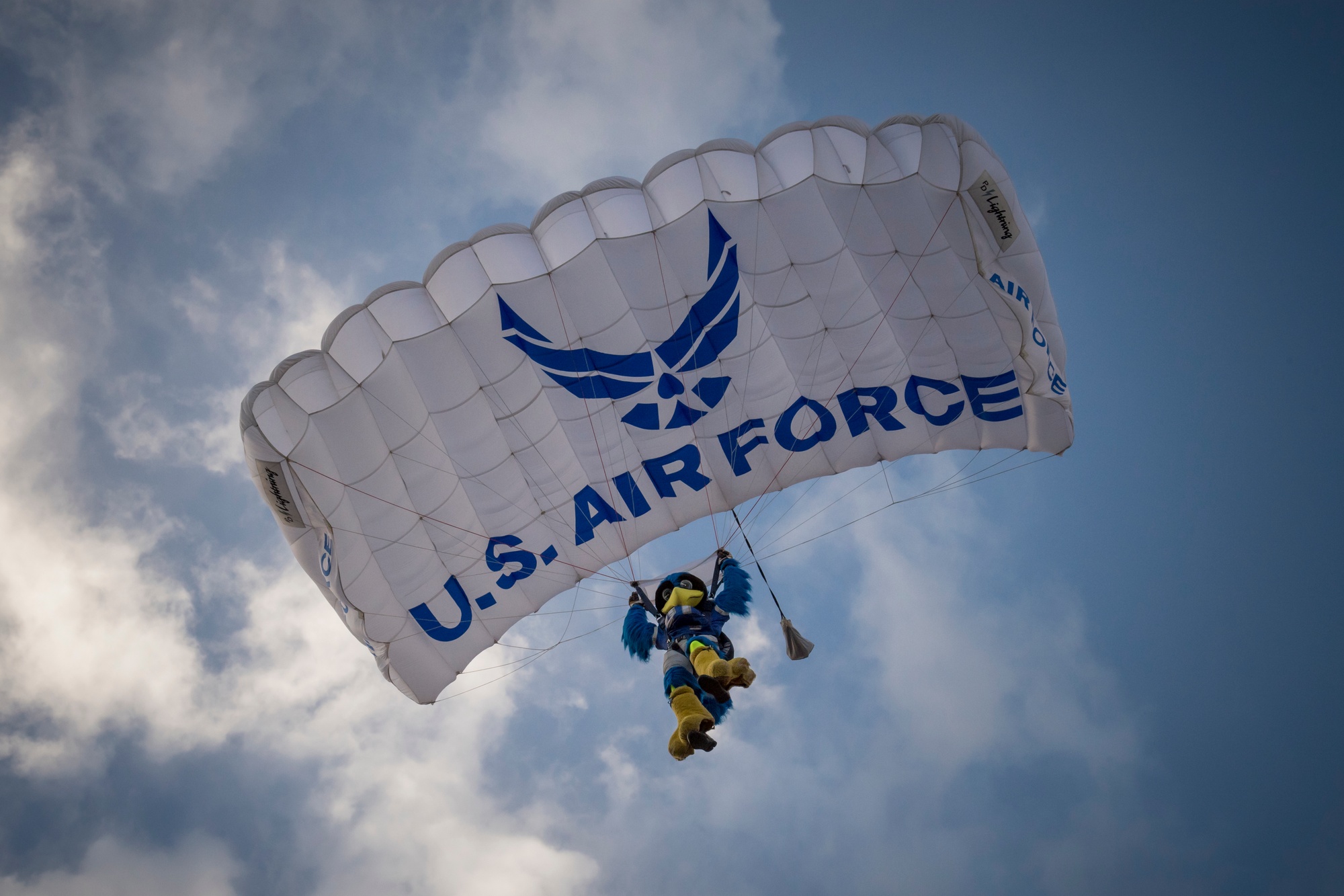 Usafa Falcons