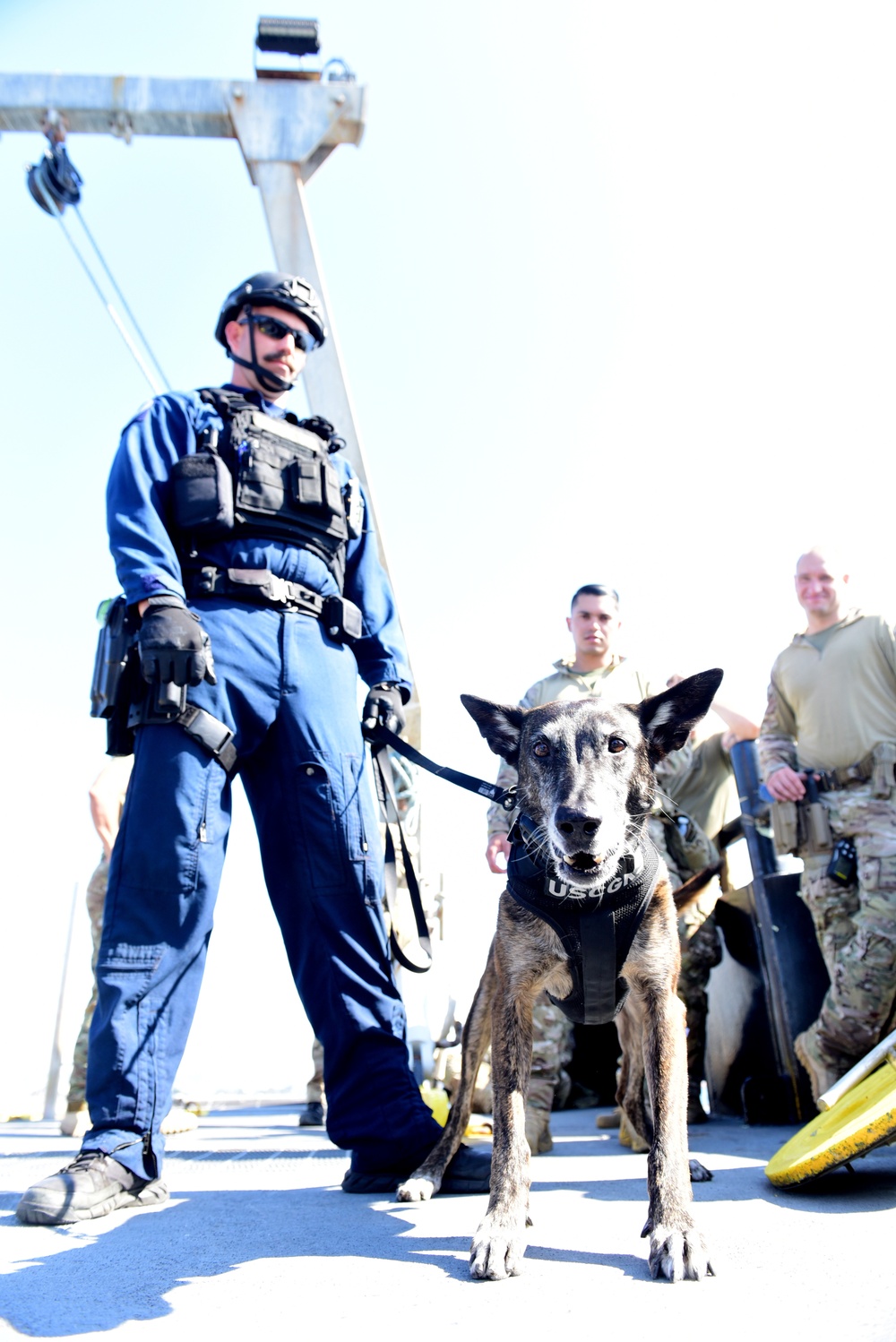 Multiple Coast Guard units participate in joint training exercise off the coast of San Diego