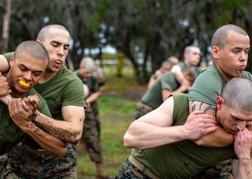 India Company Marine Corps Martial Arts Program - Counter to Chokes and Holds
