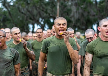 India Company Marine Corps Martial Arts Program - Counter to Chokes and Holds