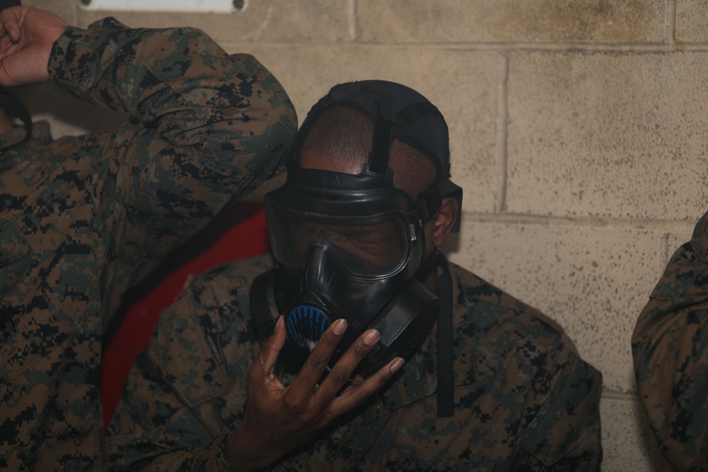 Bravo Gas Chamber