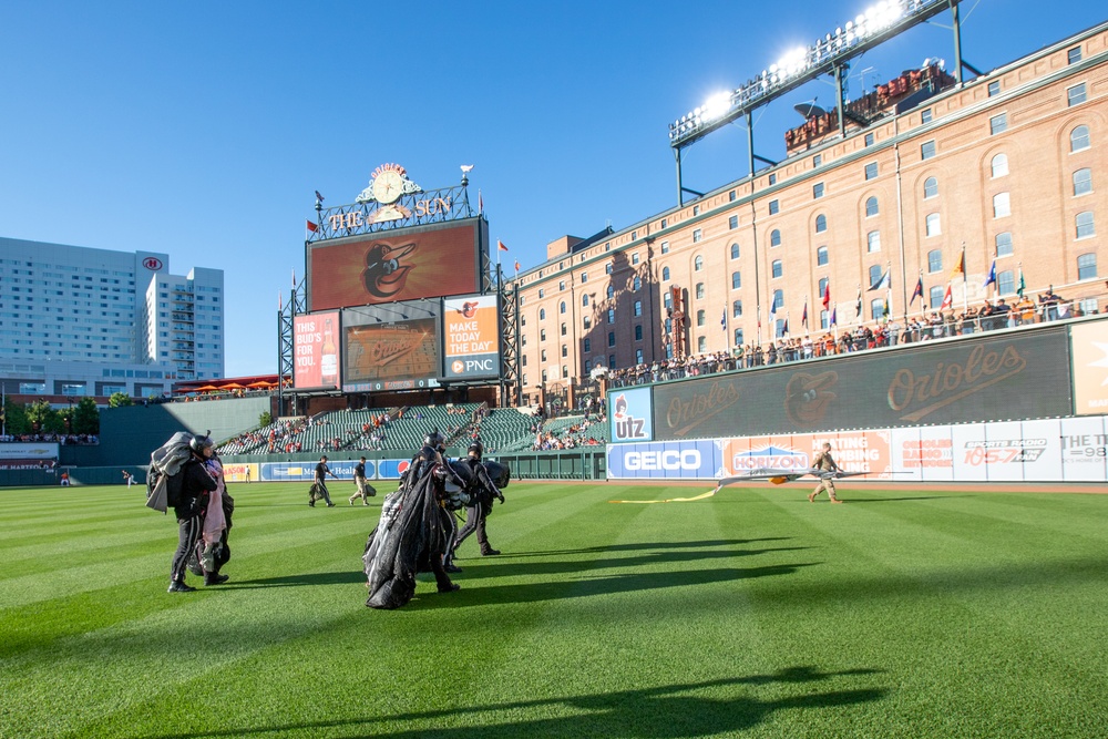 Silver Wings at Camden Yards