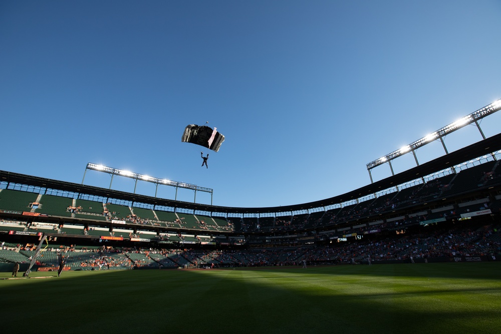 Silver Wings at Camden Yards