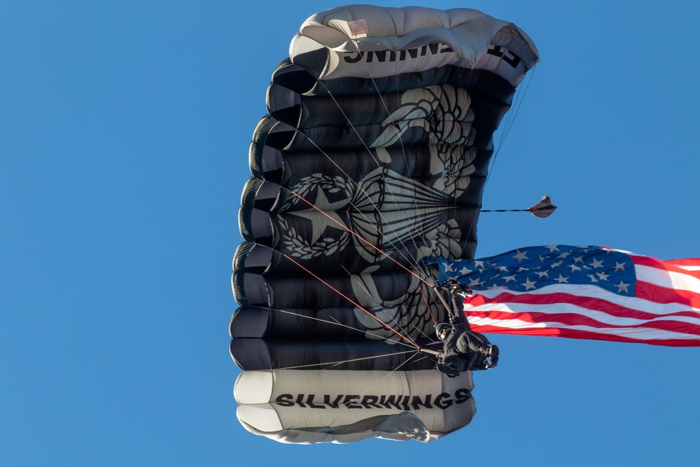 Silver Wings at Camden Yards