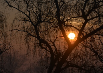 Navy Veteran Runs Around the World to Raise Suicide Prevention Awareness