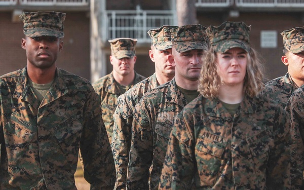 The Grass Is GREENer