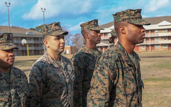 The Grass is GREENer