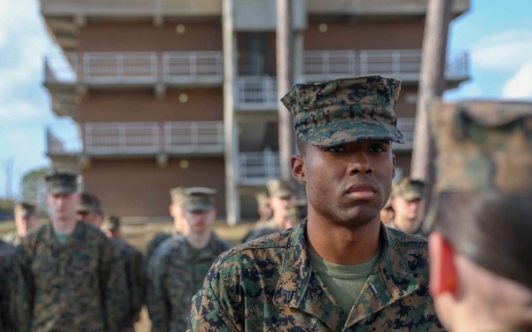 The Grass is GREENer