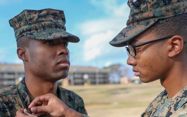 The Grass is GREENer