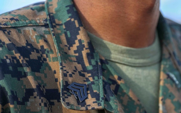 The Grass is GREENer