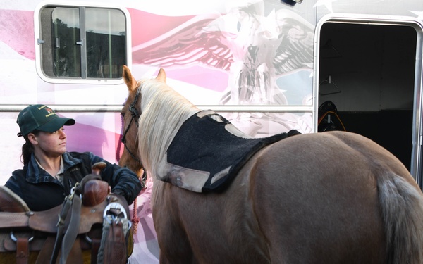 Marine Corps Mounted Color Guard - Equestfest