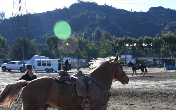 Equestfest