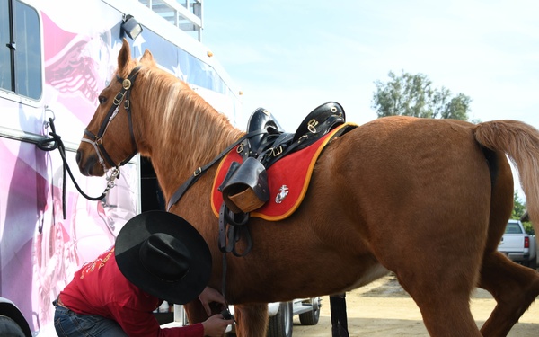 Marine Corps Mounted Color Guard - Equestfest
