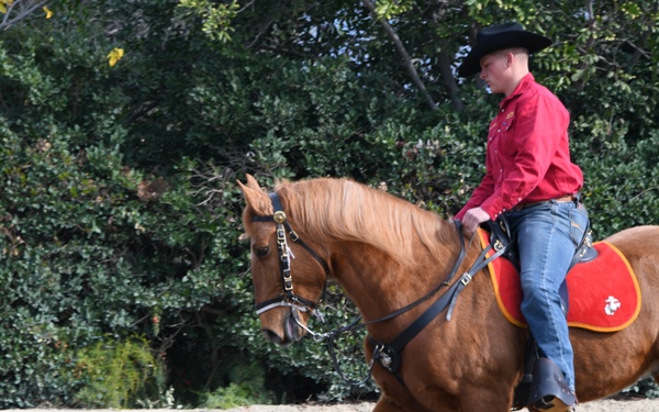 Marine Corps Mounted Color Guard - Equestfest