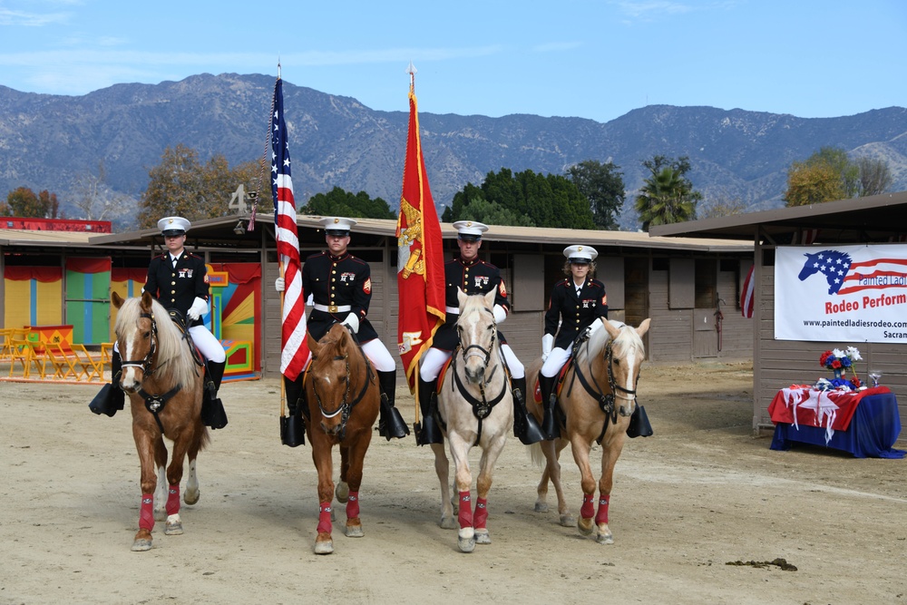 Marine Corps Mounted Color Guard - Equestfest