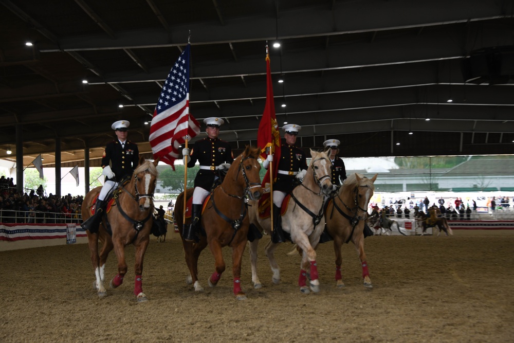 Marine Corps Mounted Color Guard - Equestfest
