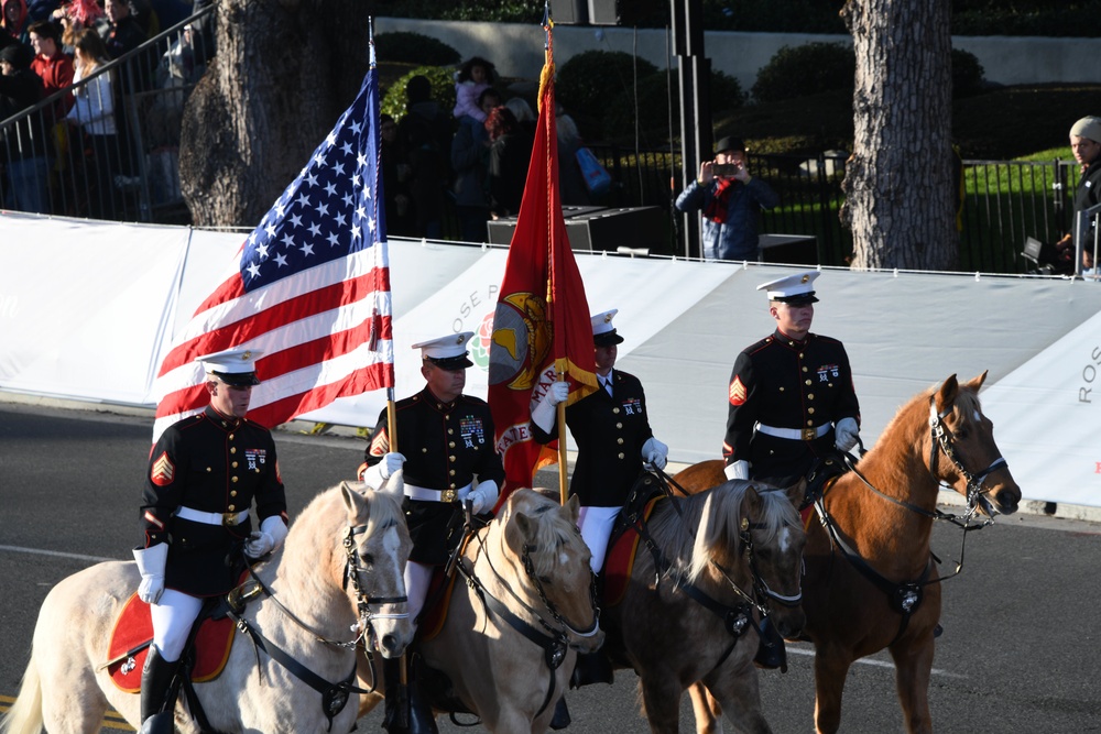 Marine Corps Mounted Color Guard - Rose Parade