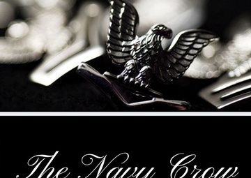 The Navy Crow: Petty Officer Rank Insignia