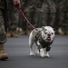 Parris Island Mascot NCO Promotion ceremony