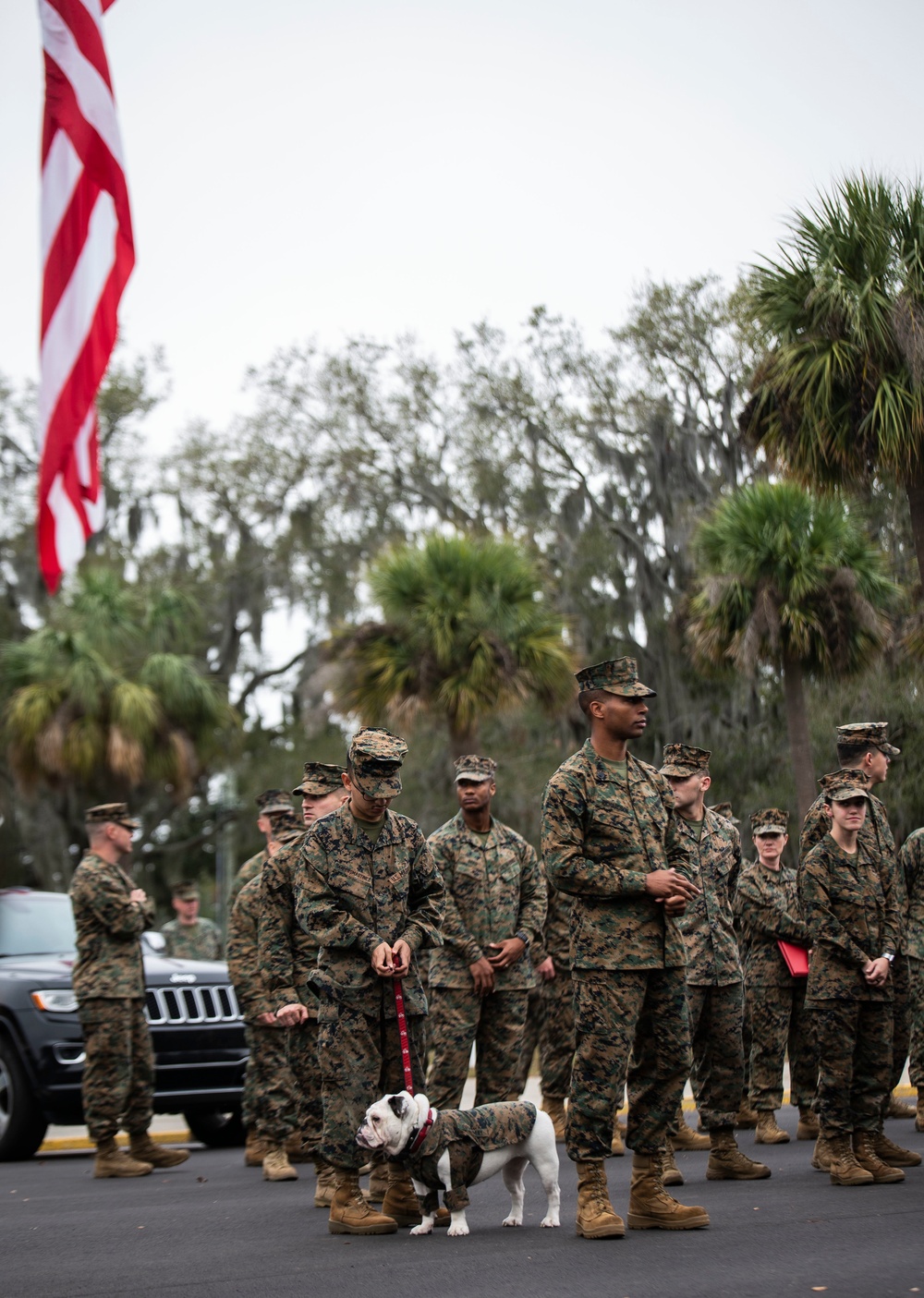 Parris Island Mascot NCO Promotion ceremony