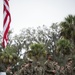 Parris Island Mascot NCO Promotion ceremony