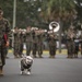 Parris Island Mascot NCO Promotion ceremony